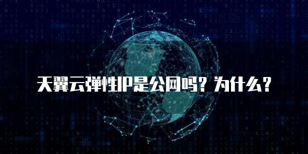天翼云弹性IP是公网吗？为什么？