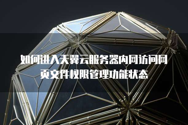 如何进入天翼云服务器内网访问网页文件权限管理功能状态