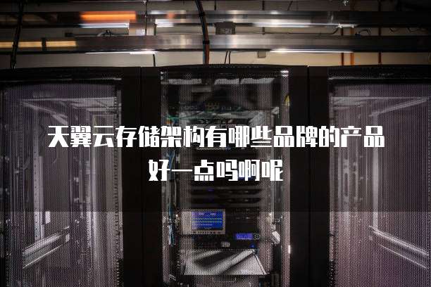 天翼云存储架构有哪些品牌的产品好一点吗啊呢