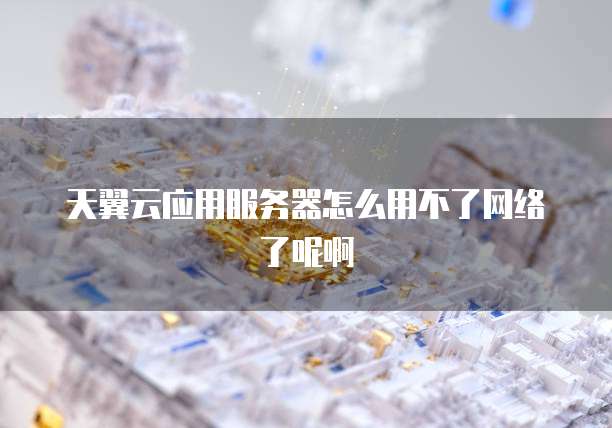 天翼云应用服务器怎么用不了网络了呢啊