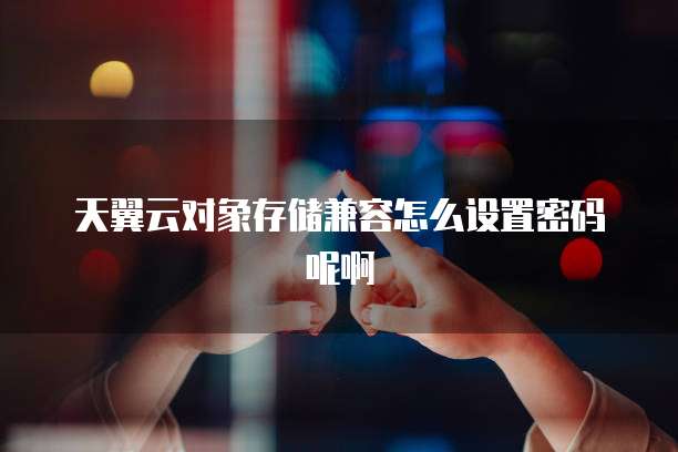 天翼云对象存储兼容怎么设置密码呢啊