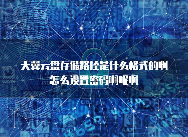 天翼云盘存储路径是什么格式的啊怎么设置密码啊呢啊
