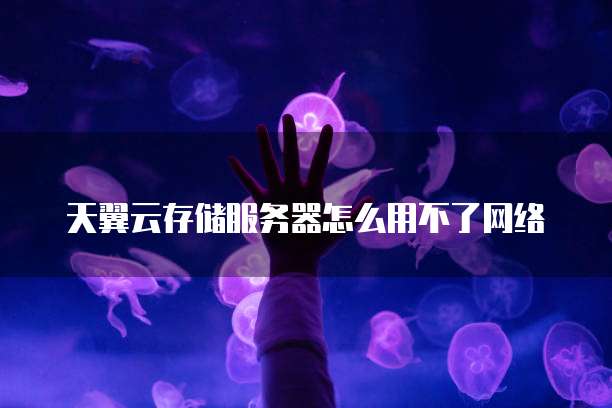 天翼云存储服务器怎么用不了网络