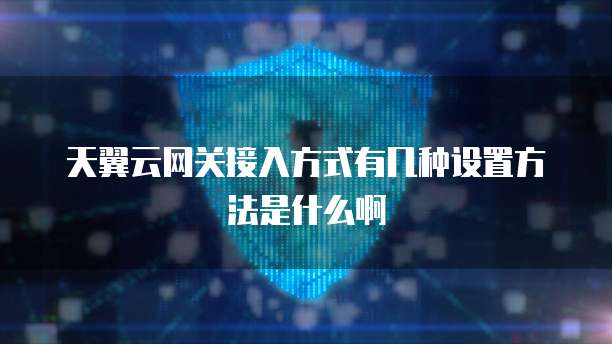 天翼云网关接入方式有几种设置方法是什么啊