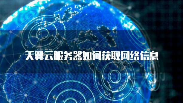 天翼云服务器如何获取网络信息