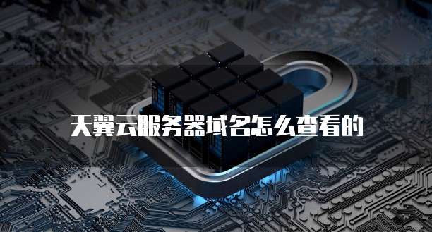 天翼云服务器域名怎么查看的