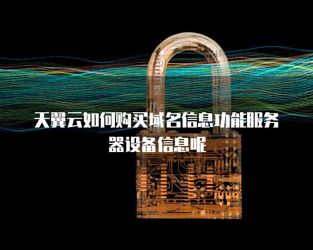 天翼云如何购买域名信息功能服务器设备信息呢
