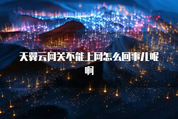 天翼云网关不能上网怎么回事儿呢啊