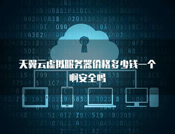天翼云虚拟服务器价格多少钱一个啊安全吗