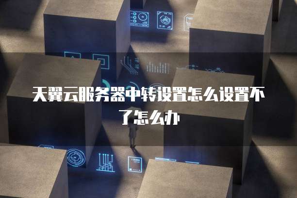 天翼云服务器中转设置怎么设置不了怎么办