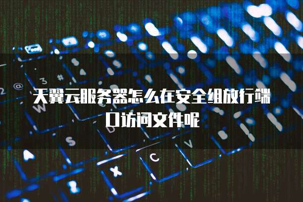 天翼云服务器怎么在安全组放行端口访问文件呢