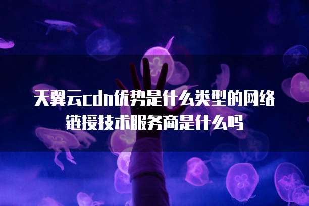 天翼云cdn优势是什么类型的网络链接技术服务商是什么吗