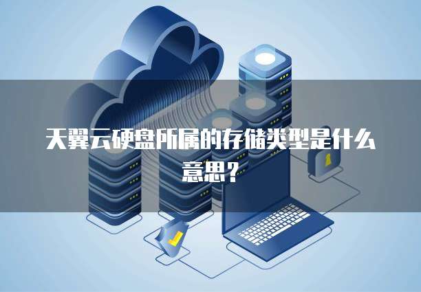 天翼云硬盘所属的存储类型是什么意思?