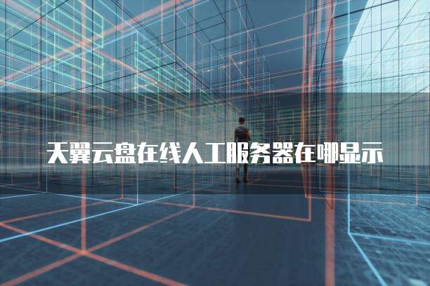 天翼云盘在线人工服务器在哪显示