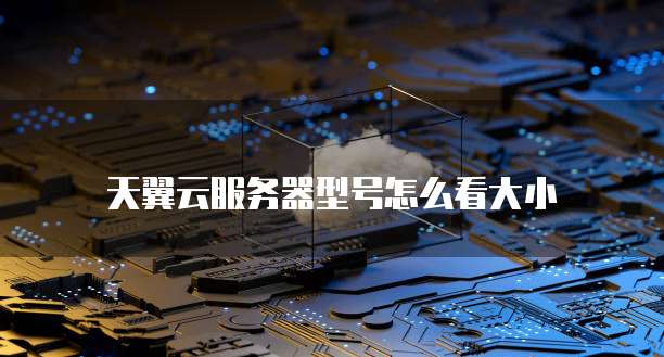 天翼云服务器型号怎么看大小