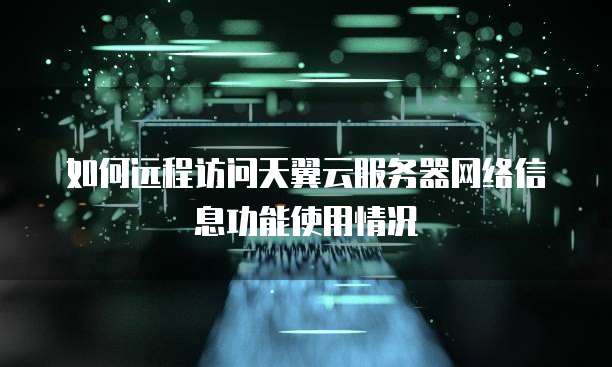 如何远程访问天翼云服务器网络信息功能使用情况