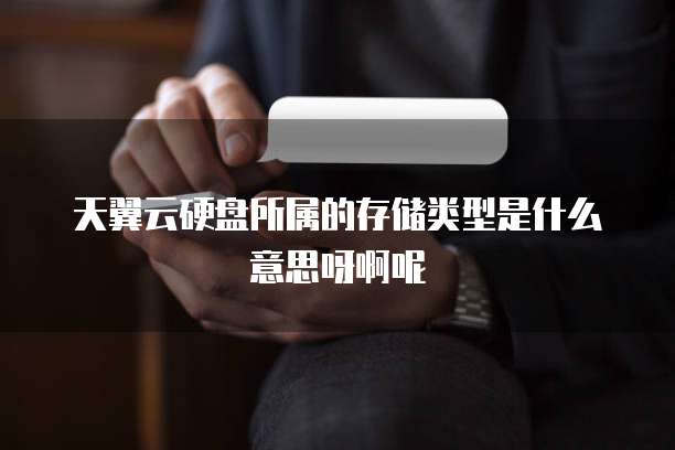 天翼云硬盘所属的存储类型是什么意思呀啊呢