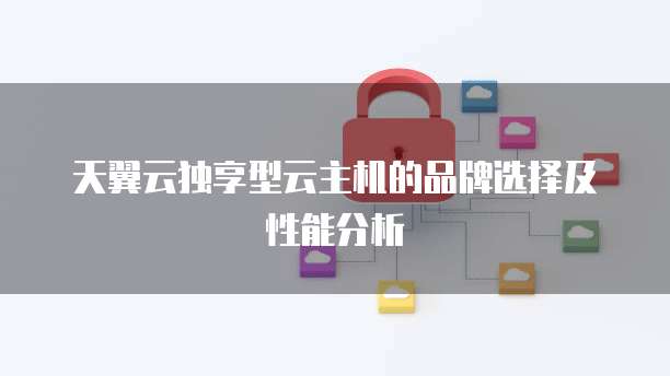 天翼云独享型云主机的品牌选择及性能分析