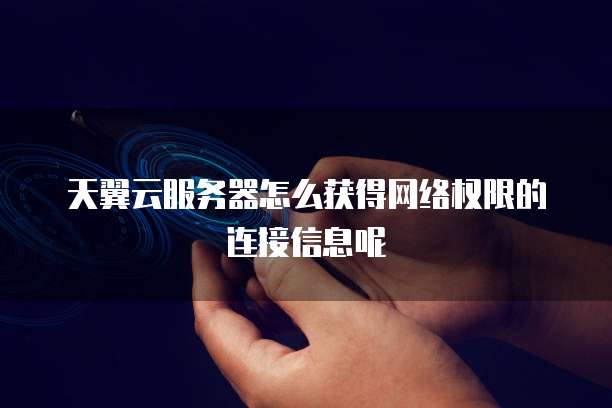 天翼云服务器怎么获得网络权限的连接信息呢