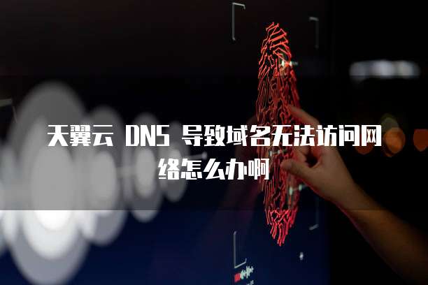天翼云 DNS 导致域名无法访问网络怎么办啊