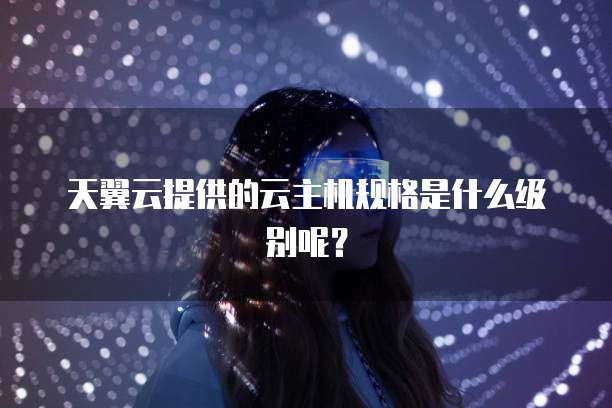天翼云提供的云主机规格是什么级别呢?