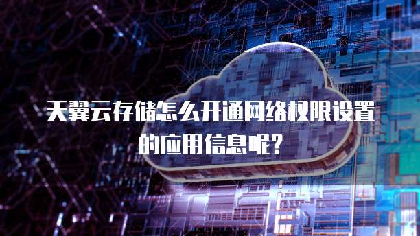 天翼云存储怎么开通网络权限设置的应用信息呢?
