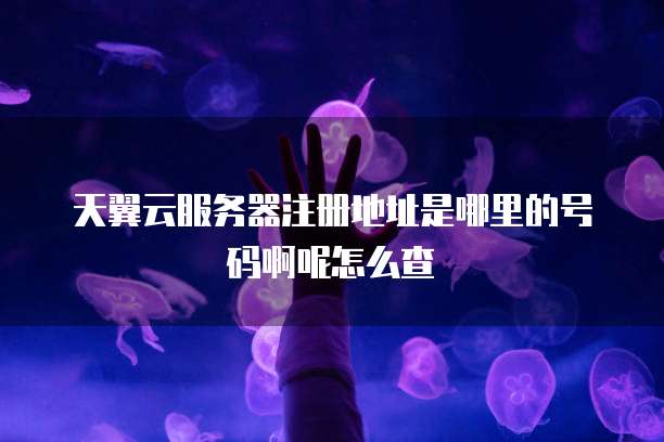 天翼云服务器注册地址是哪里的号码啊呢怎么查