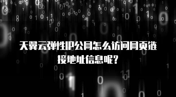 天翼云弹性IP公网怎么访问网页链接地址信息呢？