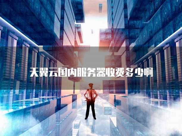 天翼云国内服务器收费多少啊