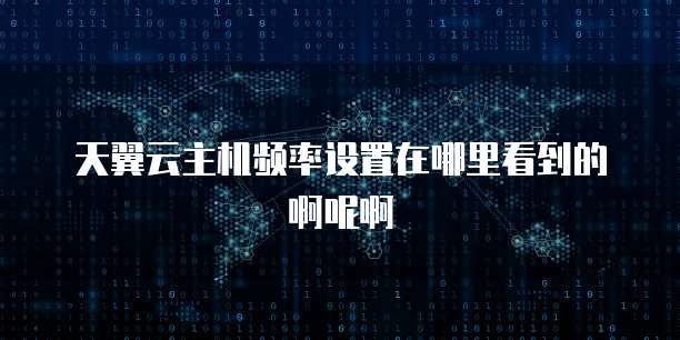 天翼云主机频率设置在哪里看到的啊呢啊