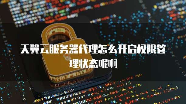 天翼云服务器代理怎么开启权限管理状态呢啊