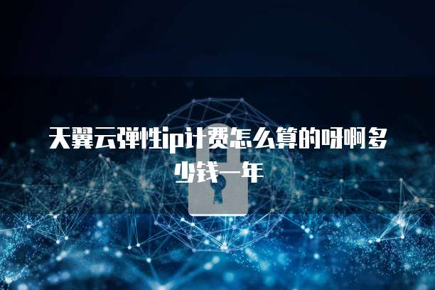 天翼云弹性ip计费怎么算的呀啊多少钱一年