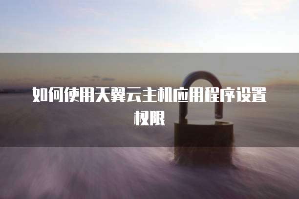 如何使用天翼云主机应用程序设置权限