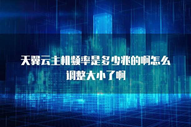天翼云主机频率是多少兆的啊怎么调整大小了啊