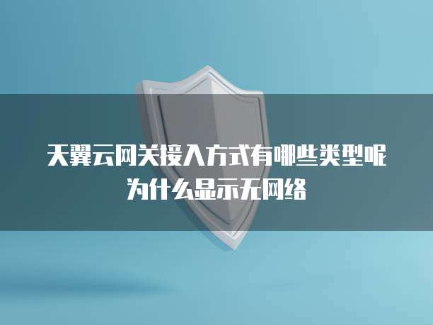 天翼云网关接入方式有哪些类型呢为什么显示无网络