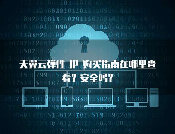 天翼云弹性 IP 购买指南在哪里查看?安全吗?
