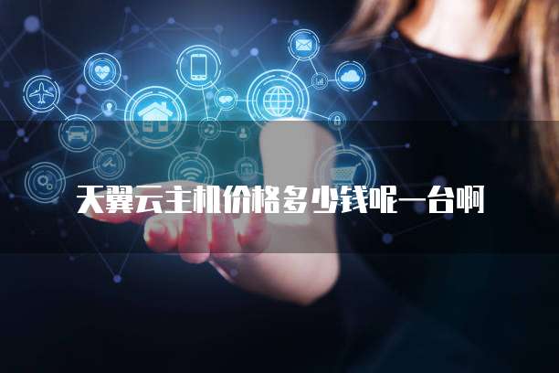 天翼云主机价格多少钱呢一台啊