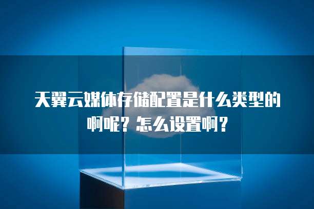 天翼云媒体存储配置是什么类型的啊呢?怎么设置啊?