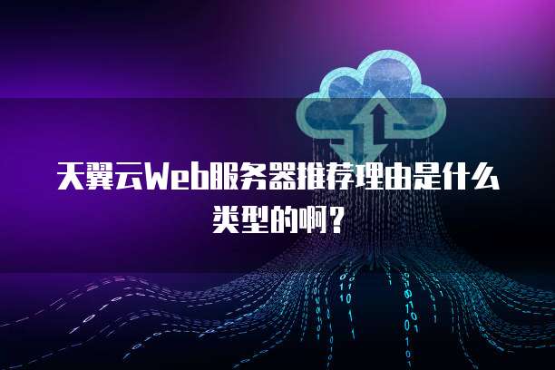 天翼云Web服务器推荐理由是什么类型的啊?
