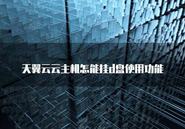 天翼云云主机怎能挂d盘使用功能