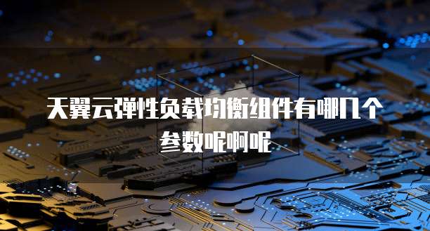 天翼云弹性负载均衡组件有哪几个参数呢啊呢