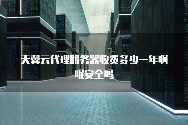 天翼云代理服务器收费多少一年啊呢安全吗