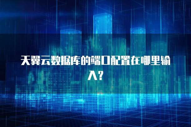 天翼云数据库的端口配置在哪里输入?