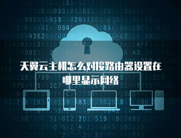 天翼云主机怎么对接路由器设置在哪里显示网络