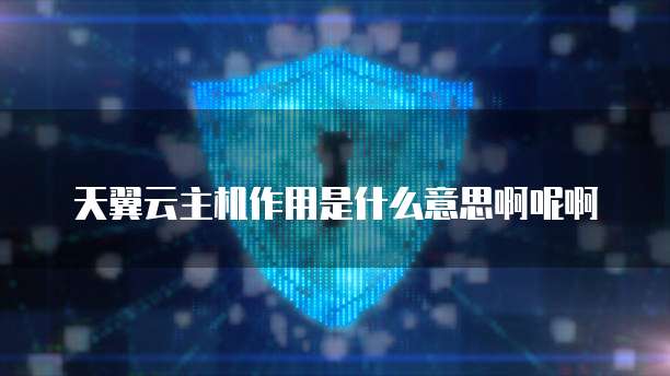 天翼云主机作用是什么意思啊呢啊