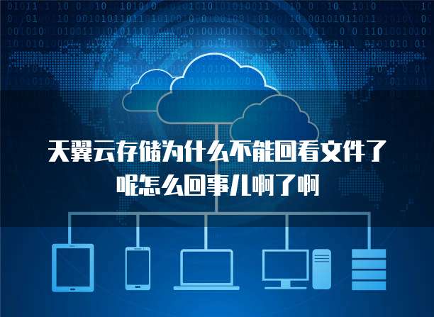 天翼云存储为什么不能回看文件了呢怎么回事儿啊了啊
