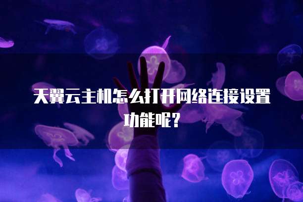 天翼云主机怎么打开网络连接设置功能呢？