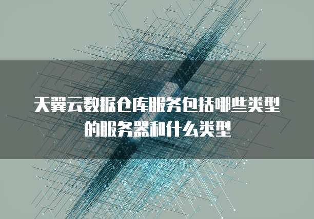 天翼云数据仓库服务包括哪些类型的服务器和什么类型
