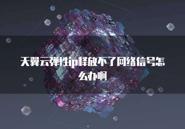 天翼云弹性ip释放不了网络信号怎么办啊
