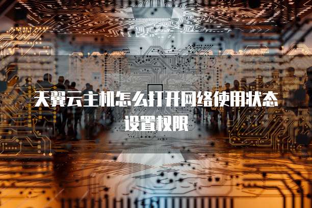 天翼云主机怎么打开网络使用状态设置权限